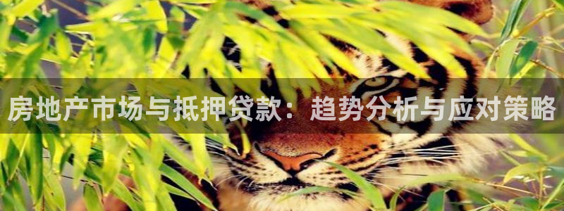 广州和德记官网：房地产市场与抵押贷款：趋势分析与应对策略