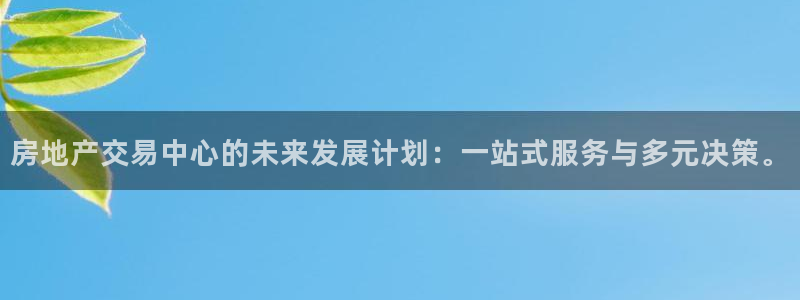 长江和记官网：房地产交易中心的未来发展计划：一站式服务与多元