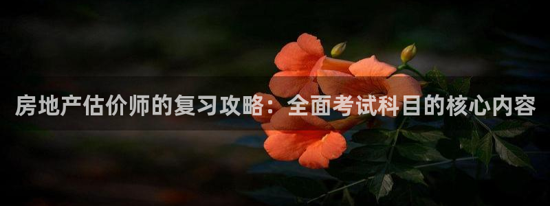 广州和记黄埔官网：房地产估价师的复习攻略：全面考试科目的核心