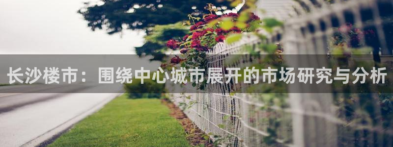 香港和记3hk官网：长沙楼市：围绕中心城市展开的市场研究与分
