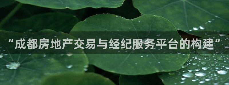 和记官网亚洲唯一官网