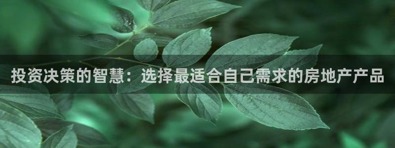 和记官网进入：投资决策的智慧：选择最适合自己需求的房地产产品