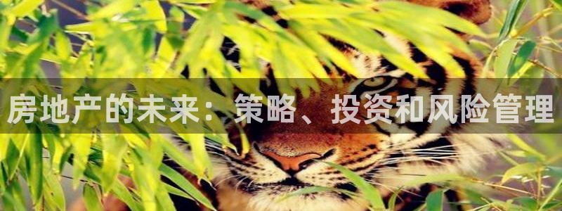 和记怡情h88官网：房地产的未来：策略、投资和风险管理