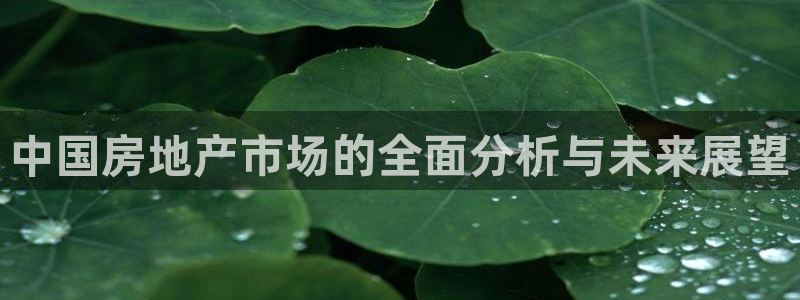 和记国际官网官网：中国房地产市场的全面分析与未来展望