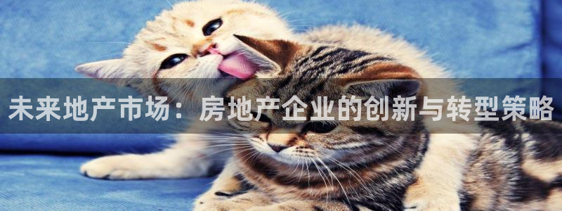 和记澳门官网：未来地产市场：房地产企业的创新与转型策略