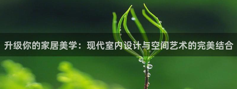 和记h88官网登陆：升级你的家居美学：现代室内设计与空间艺术
