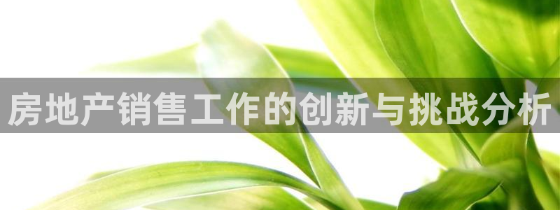 和记3卡官网是哪：房地产销售工作的创新与挑战分析