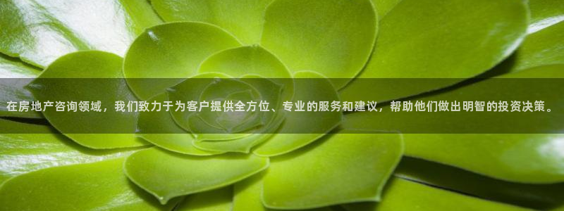 和记官网ap：在房地产咨询领域，我们致力于为客户提供全方位、
