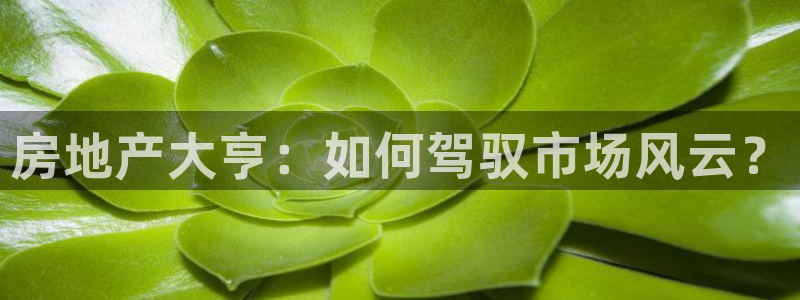 和记娱乐 官网：房地产大亨：如何驾驭市场风云？