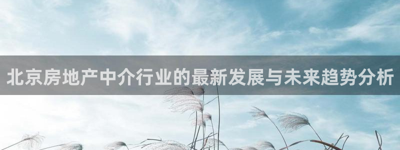 和记娱乐怡情官网：北京房地产中介行业的最新发展与未来趋势分析