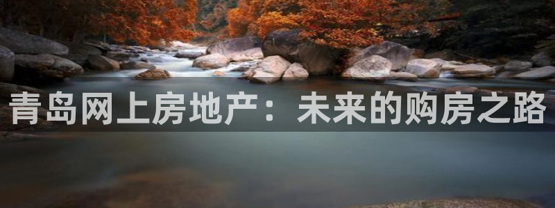和记国际电讯官网：青岛网上房地产：未来的购房之路