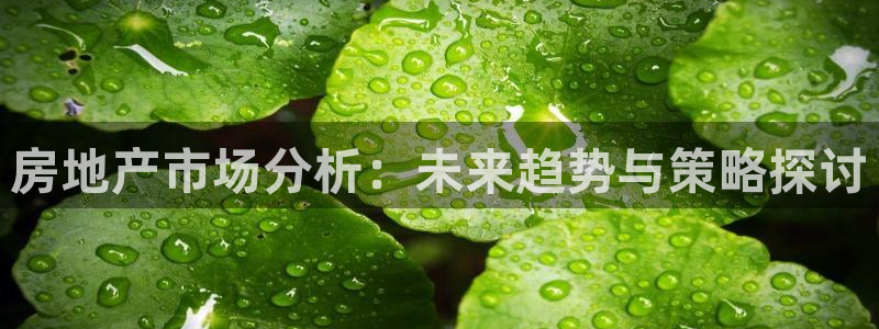和记3卡官网是哪：房地产市场分析：未来趋势与策略探讨