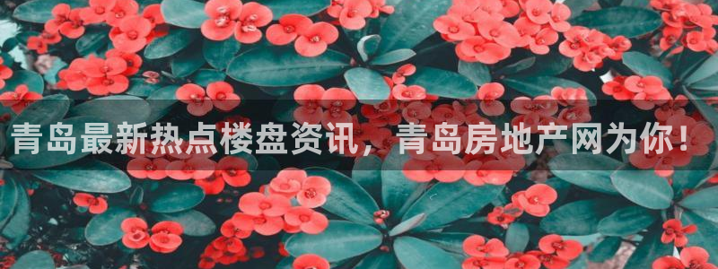 江苏和记伟业官网：青岛最新热点楼盘资讯，青岛房地产网为你！