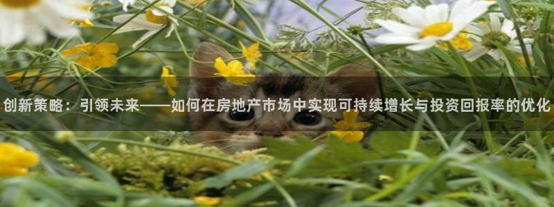 和记官网ap：创新策略：引领未来——如何在房地产市场中实现可