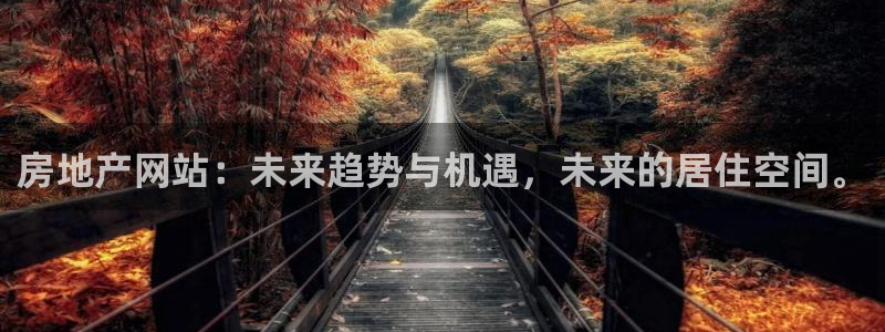 和记娱实惠h88285官网：房地产网站：未来趋势与机遇，未来
