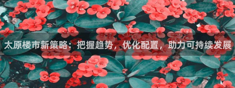 和记平台网站官网：太原楼市新策略：把握趋势，优化配置，助力可