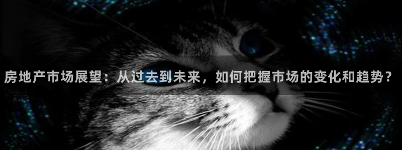 和记官网客服app：房地产市场展望：从过去到未来，如何把握市