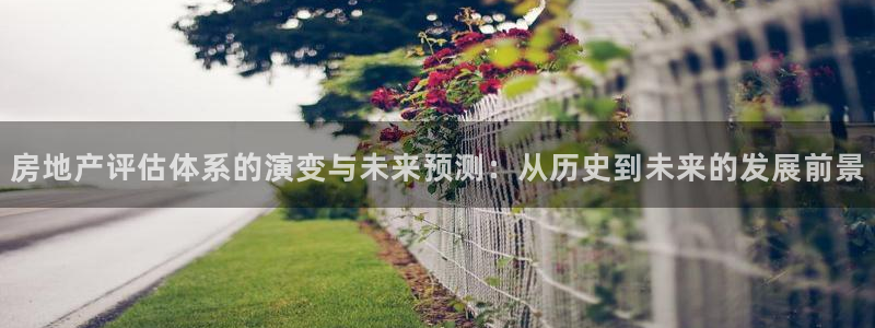 和记电信官网：房地产评估体系的演变与未来预测：从历史到未来的
