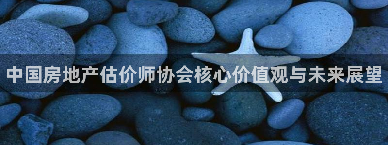 和帆记加盟官网：中国房地产估价师协会核心价值观与未来展望