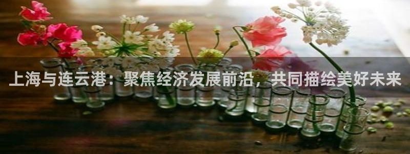和记网开户官网：上海与连云港：聚焦经济发展前沿，共同描绘美好