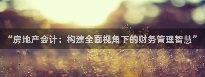 和记3电讯官网：“房地产会计：构建全面视角下的财务管理智慧”