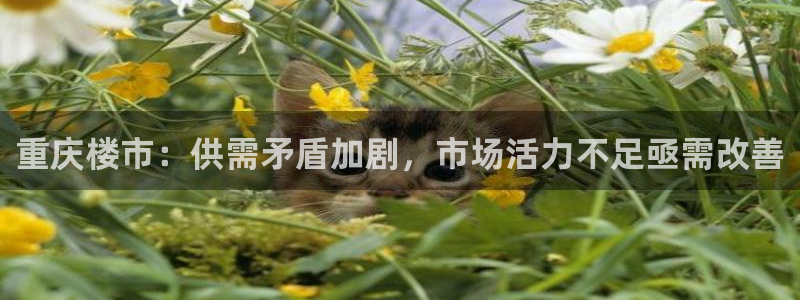 和记app官网登录：重庆楼市：供需矛盾加剧，市场活力不足亟需