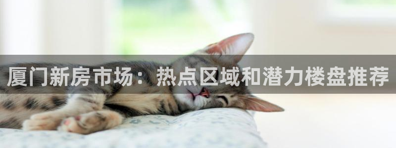 和记官网客户端：厦门新房市场：热点区域和潜力楼盘推荐