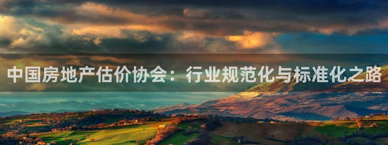 和记娱真好h88285官网：中国房地产估价协会：行业规范化与