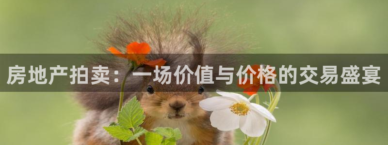 和记娱乐h88官网约凯发来就送68：房地产拍卖：一场价值与价