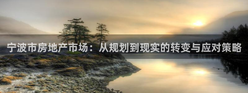澳门和记电讯官网：宁波市房地产市场：从规划到现实的转变与应对