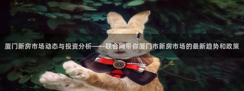 和黄记官网：厦门新房市场动态与投资分析——联合网带你厦门市新