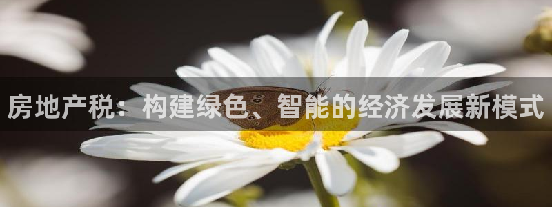 和记官网手机版