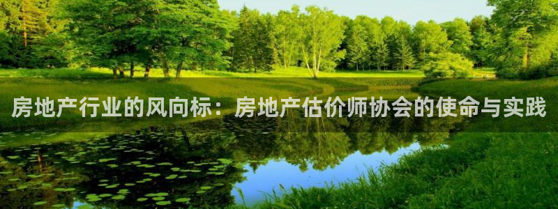 武汉和记黄埔官网：房地产行业的风向标：房地产估价师协会的使命