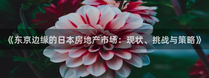 和记怡情博娱官网：《东京边缘的日本房地产市场：现状、挑战与策