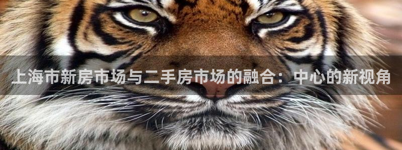和记日化官网：上海市新房市场与二手房市场的融合：中心的新视角