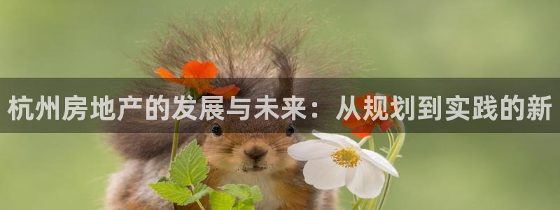 毛记和意冒菜官网加盟：杭州房地产的发展与未来：从规划到实践的