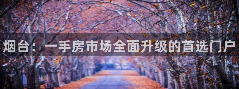 上海和记官网：烟台：一手房市场全面升级的首选门户
