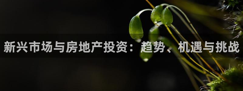 和记旗舰官网：新兴市场与房地产投资：趋势、机遇与挑战
