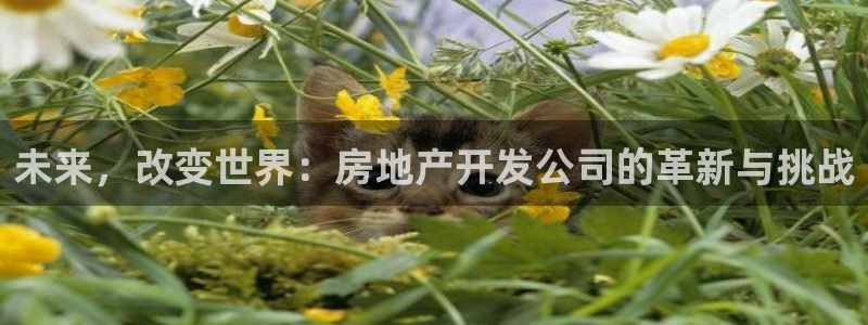 和兴记官网：未来，改变世界：房地产开发公司的革新与挑战