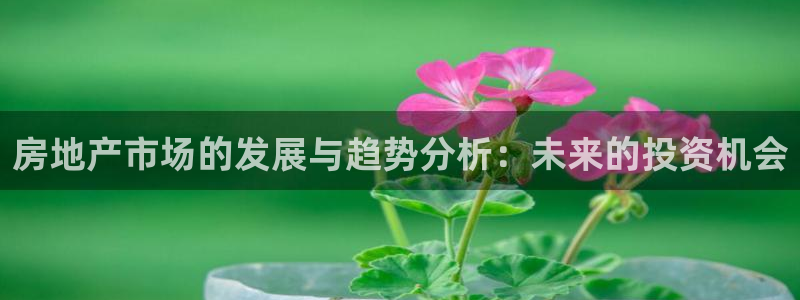和记大合城dk2官网：房地产市场的发展与趋势分析：未来的投资