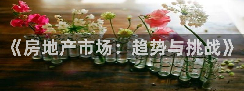和记官网app是谁的：《房地产市场：趋势与挑战》