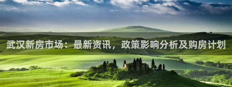 和记3电讯官网：武汉新房市场：最新资讯，政策影响分析及购房计