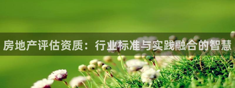 和记3官网：房地产评估资质：行业标准与实践融合的智慧