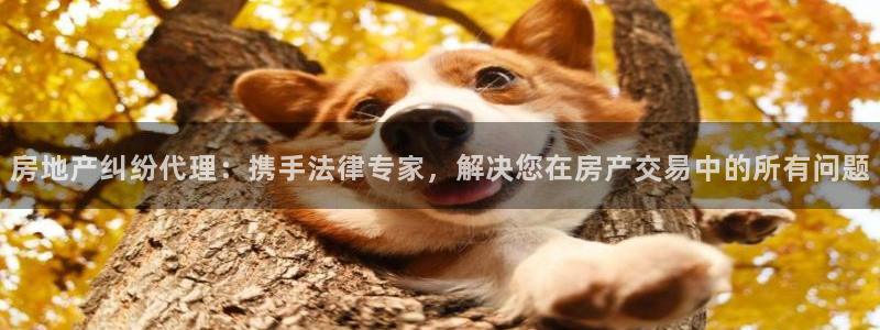 和记娱的确好h88285官网：房地产纠纷代理：携手法律专家，