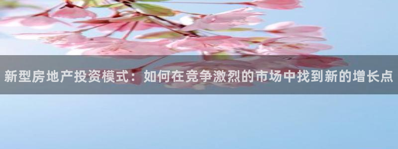 和记娱乐在线官网：新型房地产投资模式：如何在竞争激烈的市场中