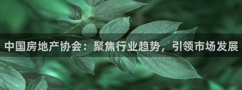 和记港口官网：中国房地产协会：聚焦行业趋势，引领市场发展