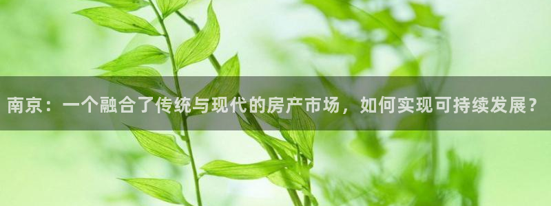 和记娱真好h88285官网：南京：一个融合了传统与现代的房产