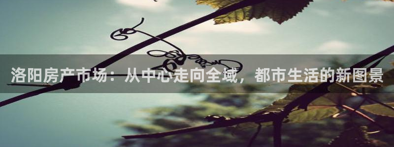 胡和记官网