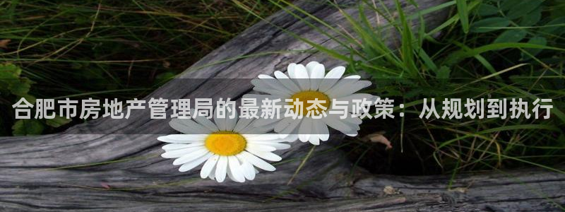 hgc和记官网：合肥市房地产管理局的最新动态与政策：从规划到