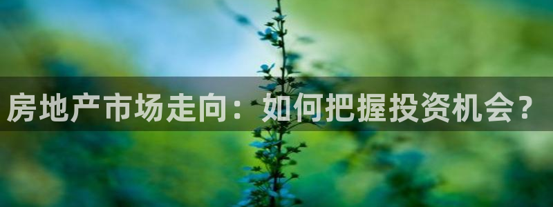 和记电讯香港官网：房地产市场走向：如何把握投资机会？